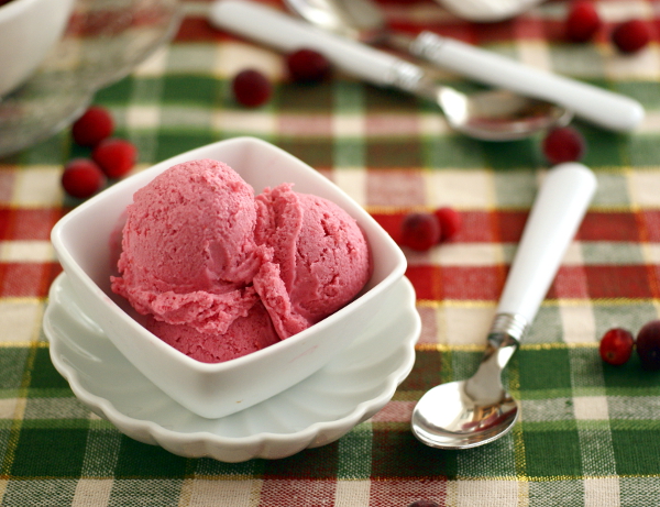 Vegan, Candida Friendly, sugar-free Cranberry Ice Cream recipe on RickiHeller.com