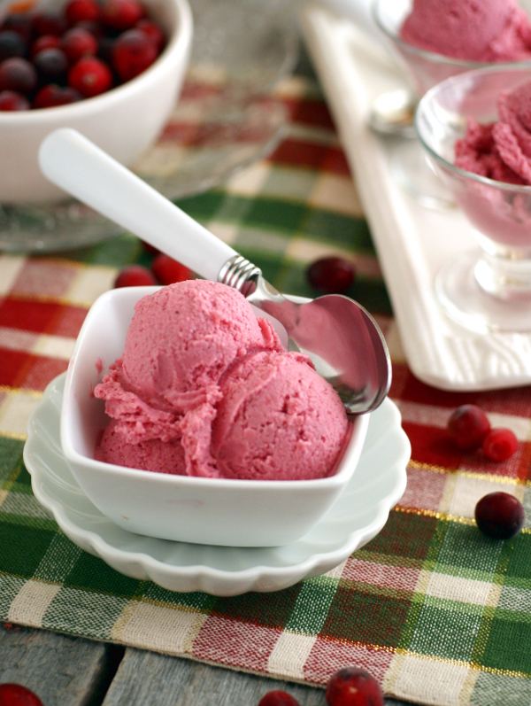 Vegan, sugar-free, candida diet cranberry ice cream recipe on rickiheller.com