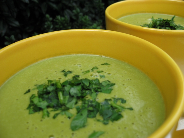 Cream of Spinach Soup | RickiHeller.com