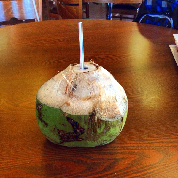 Coconut water at Hippocrates Health institute on rickiheller.com