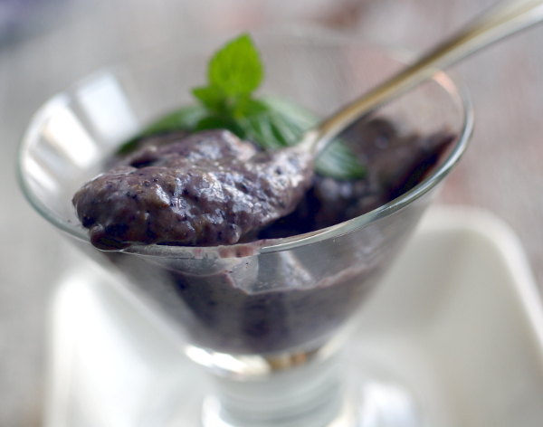 healthy gluten-free, sugarfree blueberry protein pudding on rickiheller.com
