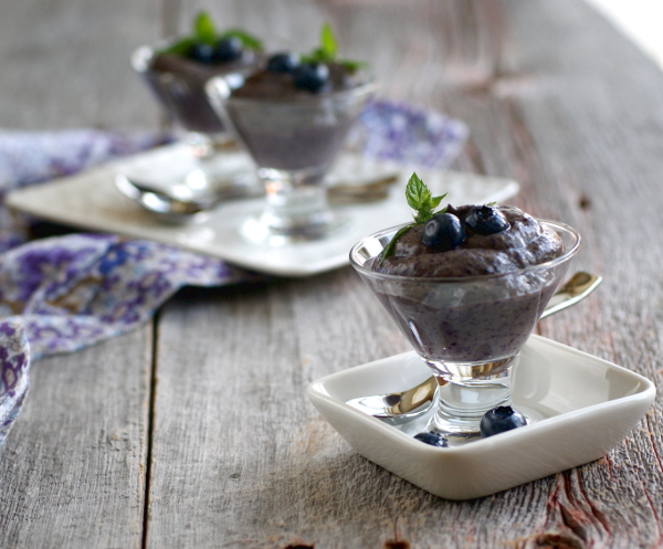 vegan, gluten-free, sugarfree blueberry protein pudding recipe on rickiheller.com